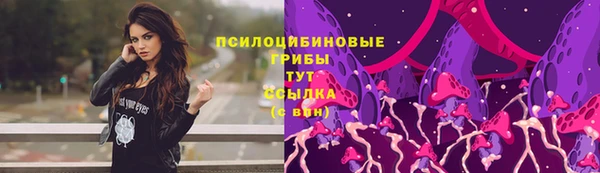 молекула духа Балахна