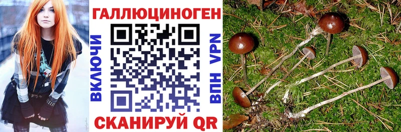 закладки  Печора  Псилоцибиновые грибы Magic Shrooms 